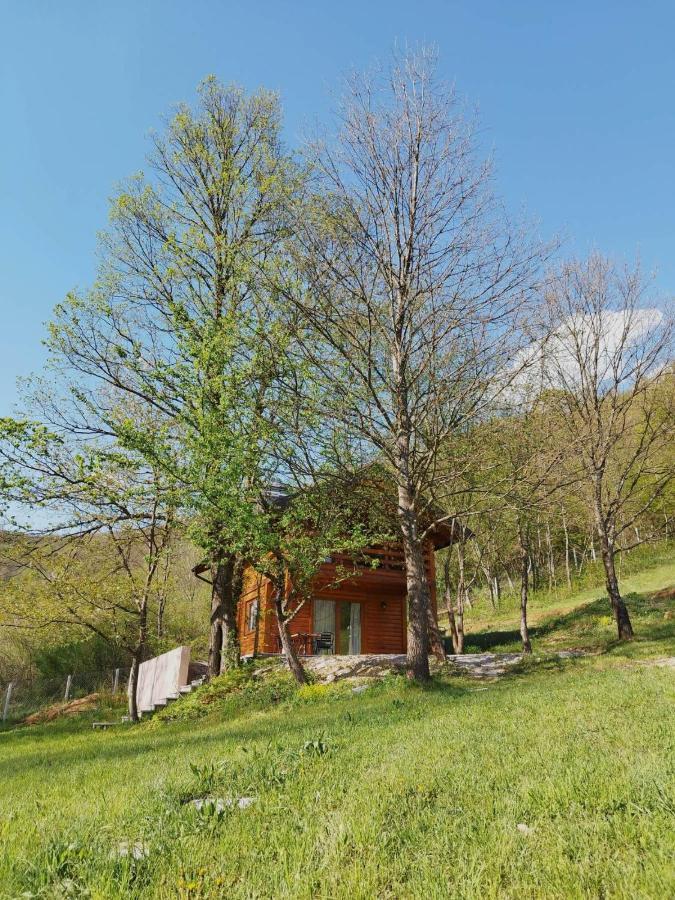 Kuca U Sumi - Forest House Near National Park Una - Air Spa Lohovo Bihać Extérieur photo