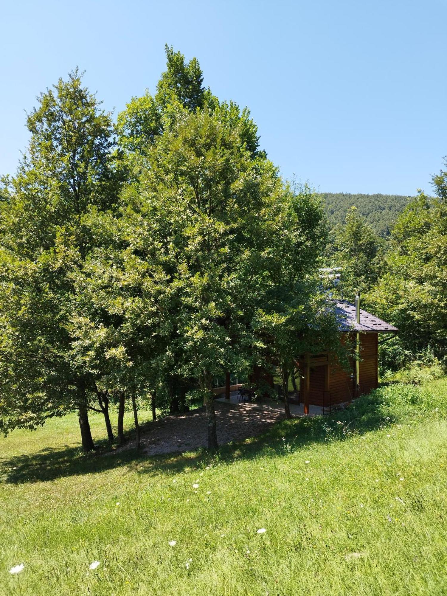 Kuca U Sumi - Forest House Near National Park Una - Air Spa Lohovo Bihać Extérieur photo